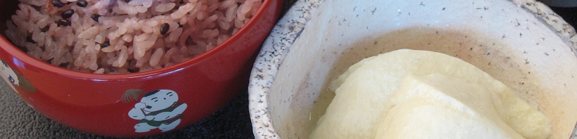 自家製豆腐　おから２.JPG