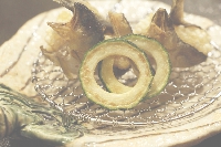 image1.jpeg